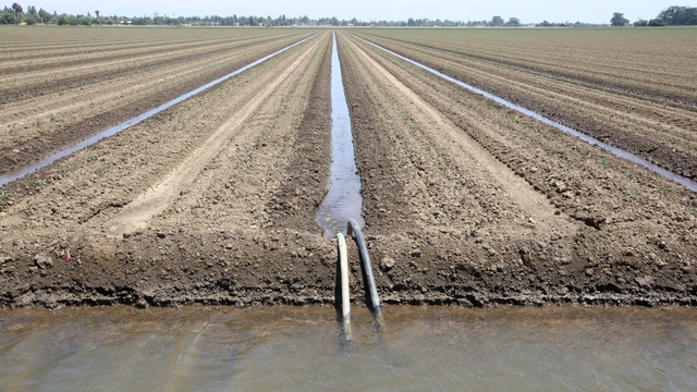 Beginning of the agricultural crisis; failing wheat production