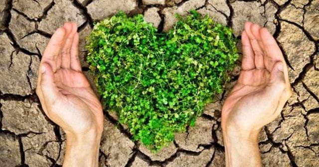 Environmental Education Forever