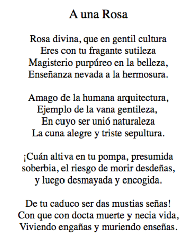 Surge el Barroco XVII