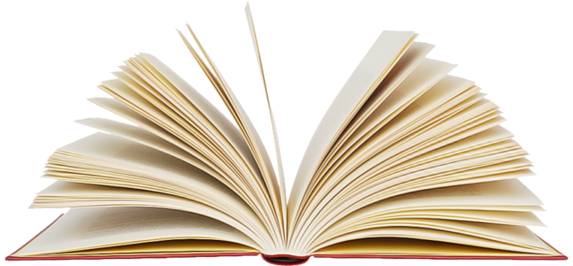 1st U.S. Report on Reading Difficulties in Children