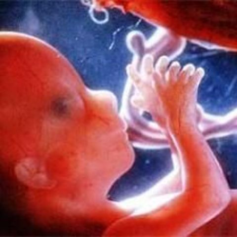 Teorías madurativas.