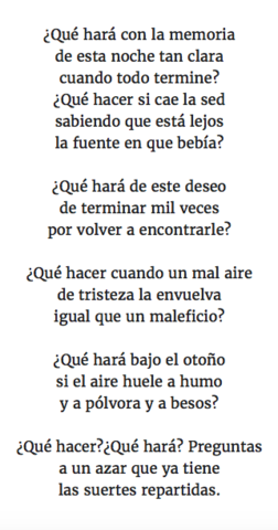 Literatura de la onda