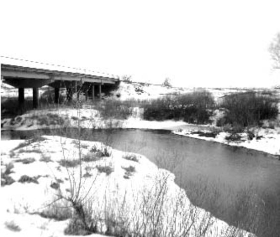 Ввод в эксплуатацию железобетонного моста через реку Чир