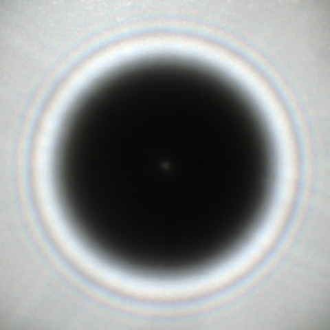 Яркое пятно