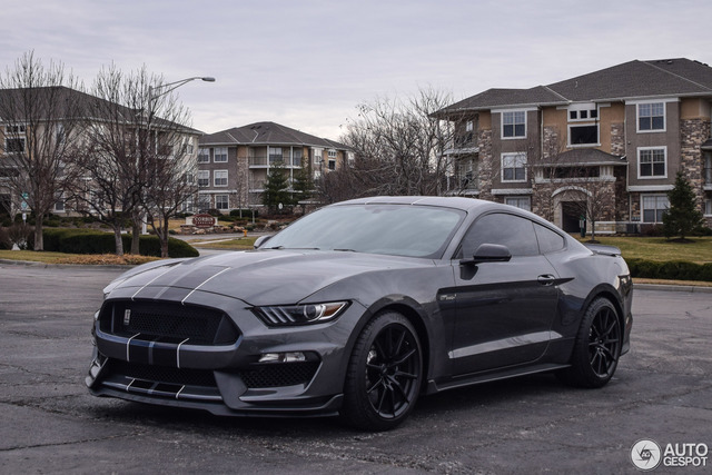 Ford  Mustang  Shelby  GT350