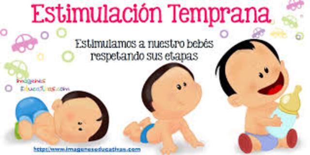 CREACION DE CURRICULO PARA CCI Y  CAIP