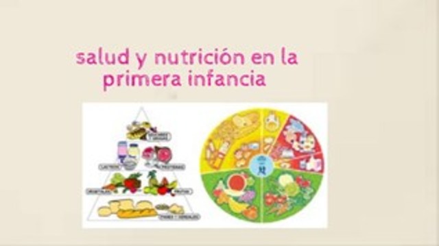 Diseño del Plan Nacional de Alimentación y Nutrición (PAN)