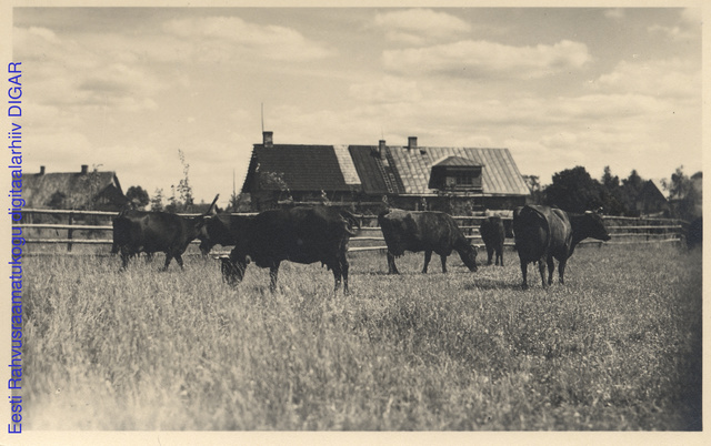 Peaaegu igas talus oli toimunud põlvkondade vahetus