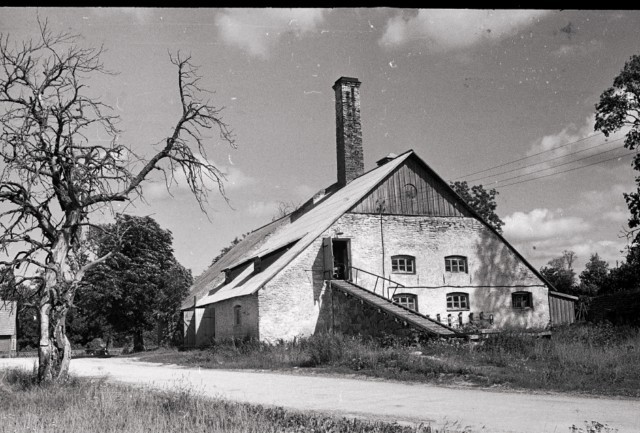 Jaanus ja Edgar  napsutasid
