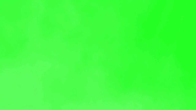 Luxury Party Stuff (SP)