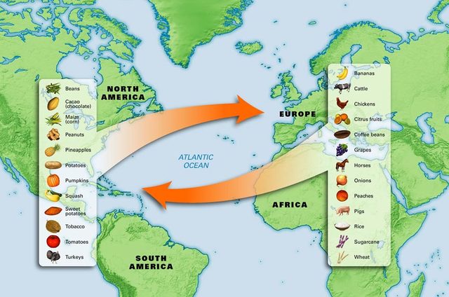 Columbian Exchange