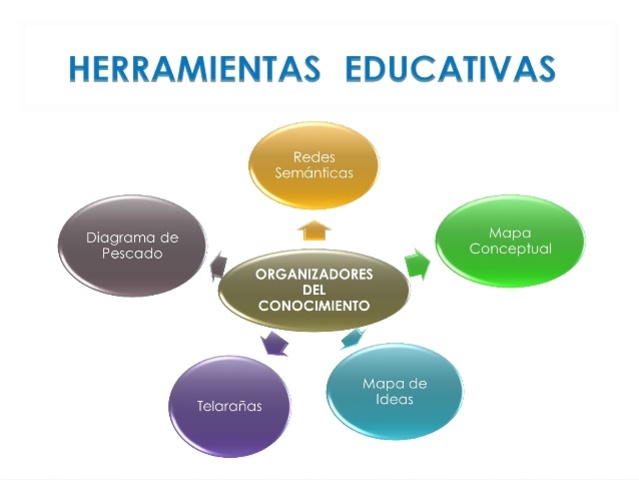 Orden-Rey- organización del conocimiento
