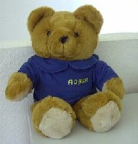 Adiós a Androbot Inc.