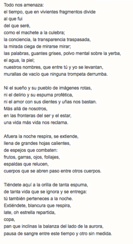 Siglo XX: Más allá del amor. Autor: Octavio paz