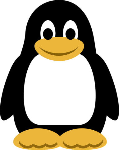 LINUX