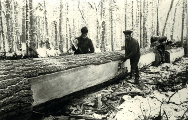 The favour of the Timber trade over the Fur trade.