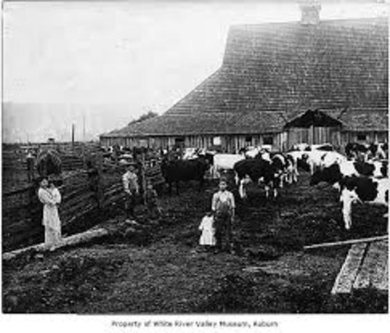 The Transformation of agriculture