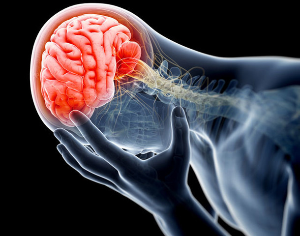 Gaixotasunen jatorri biologikoa