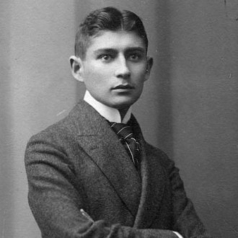The Metamorphosis: Published by Franz Kafka