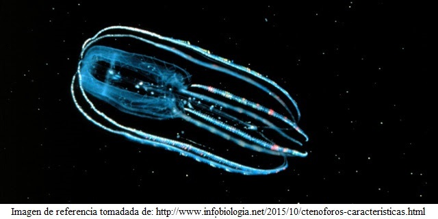 COMO SE CREE QUE SURGE EL SISTEMA NERVIOSO