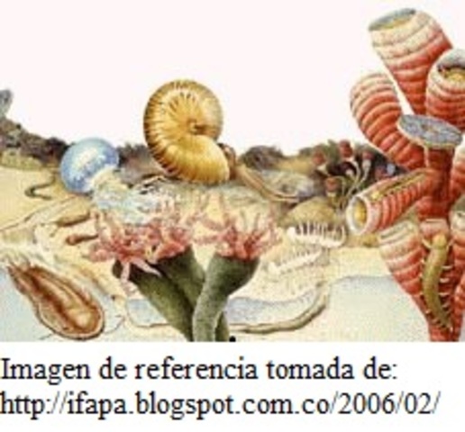 ¿DESDE CUANDO LOS ORGANISMOS DESARROLLARON LOS SISTEMAS NERVIOSOS?