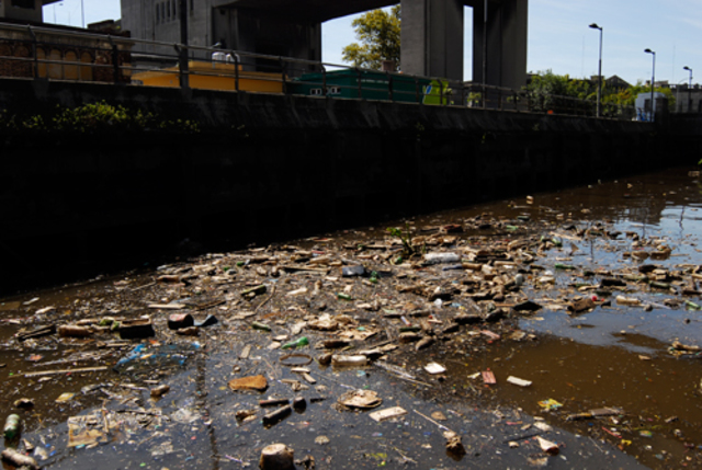 Amenaza tóxica mundial
