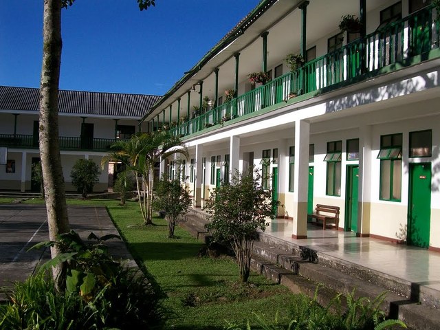 Ingresa en el Liceo mayor de Popayan