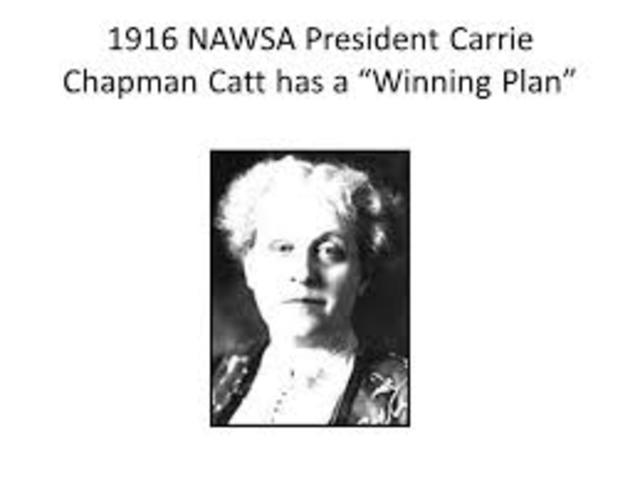 Carrie Chapman Catt elected NAWSA President