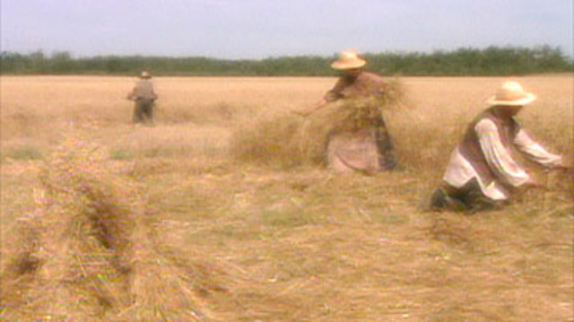 Agricultural difficulties leading to an Economic Crisis