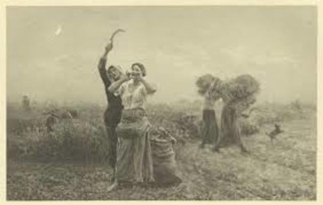 Beginning of the agricultural crisis; falling wheat production