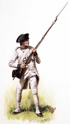 le guerre castor continue