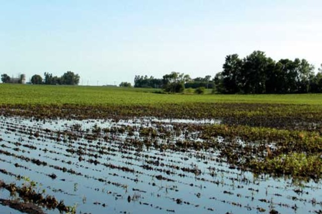 Fertile Valley civilization-From Yesterday to tomorow