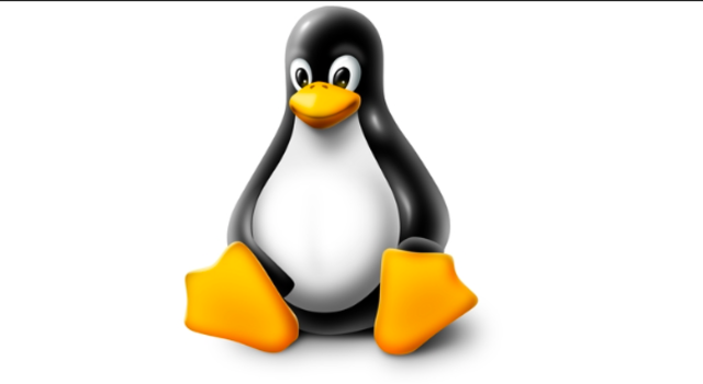 LINUX