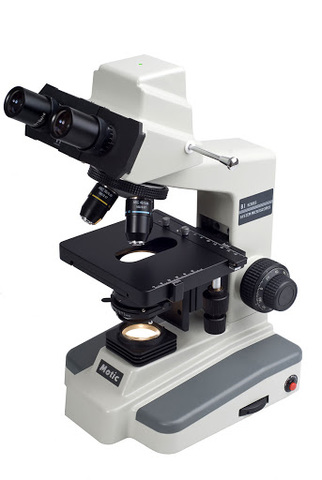 Anton van Leeuwenhoek