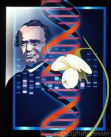 Gregor Mendel