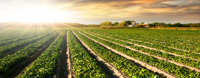 l'Office du credit agricole is created by the Government of Quebec
