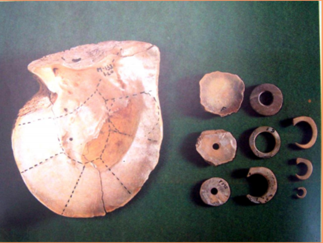 La concha de de madre perla