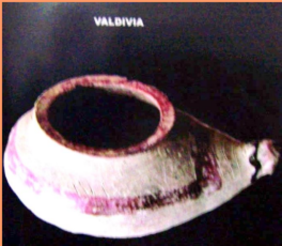 Recipiente en forma de zapato