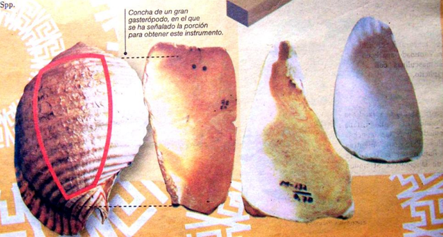 Cucharas Valdivianas