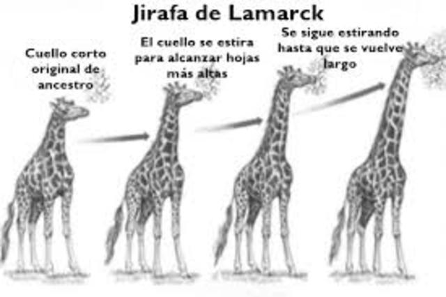 Lamarck