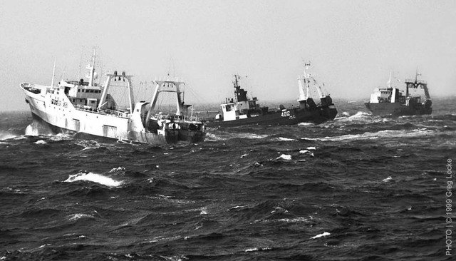 Newfoundland discovered by John Cabot