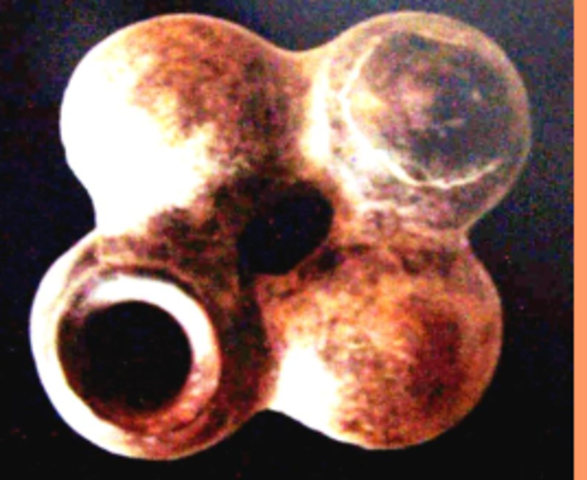 Recipiente ceremonial "Notese la forma de los senos con pesones"