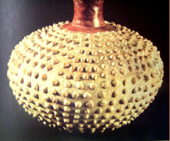 Botellas Fitoformas representando una anona