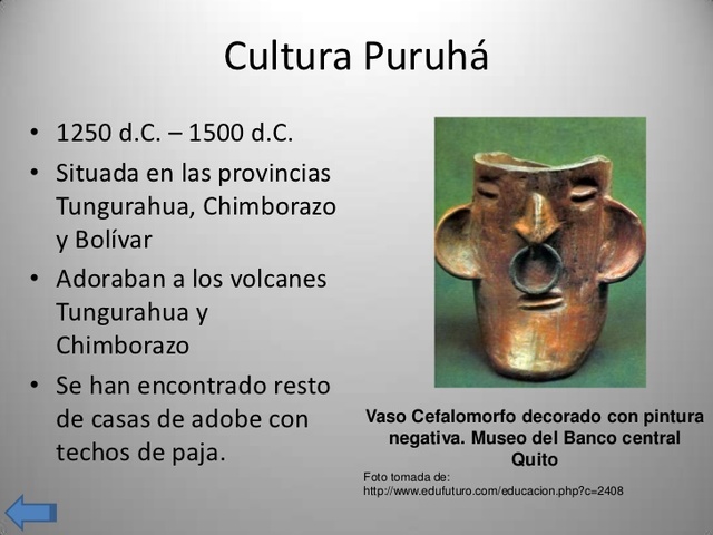 Cultura Puruhá, Vaso Cefalomorfo