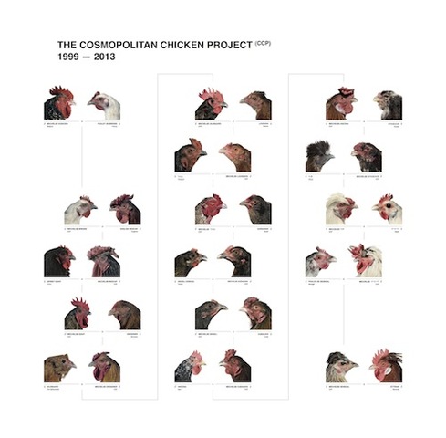 Reproduccion endogamica.