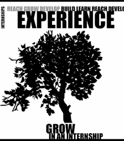 Estancia Profesional