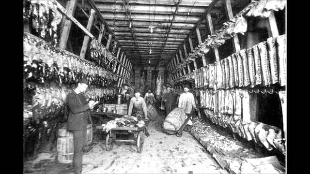 The Jungle Publishing