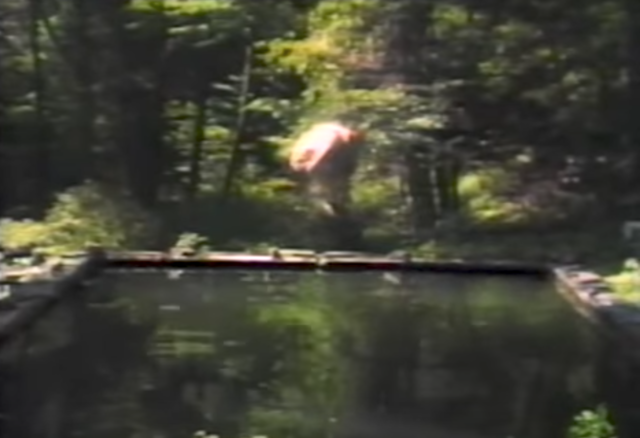 Bill Viola - Reflecting Pool