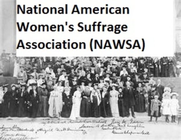 NAWSA (National American Women’s Suffrage Association)