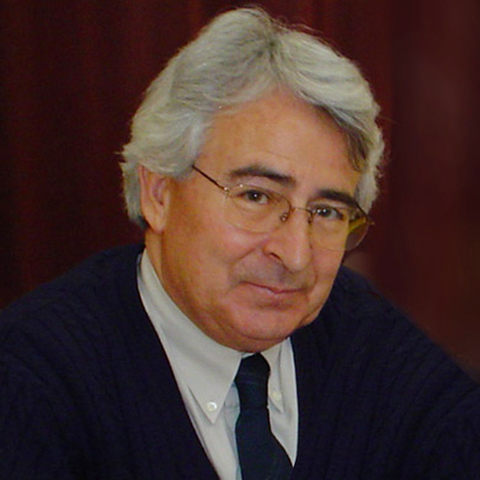 Fernando Alonso Alonso (1941-actualidad)